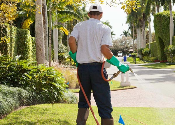 About Maple Park IL Pest Control Pros